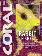 Coral July 01, 2023 Issue Cover