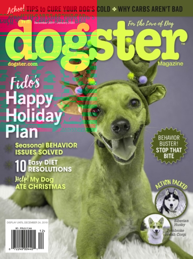 Dogster December 01, 2019 Issue Cover