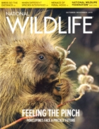 National-Wildlife October 01, 2019 Issue Cover
