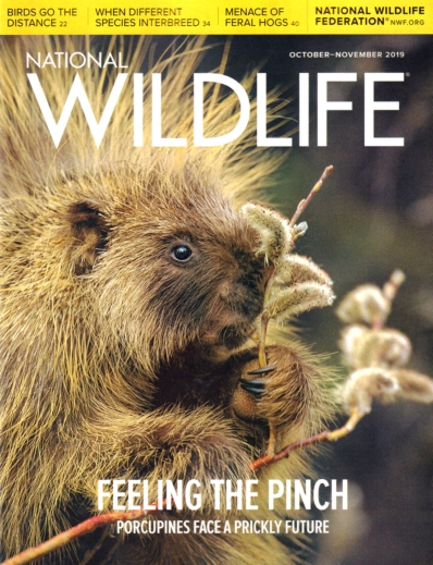 National Wildlife October 01, 2019 Issue Cover