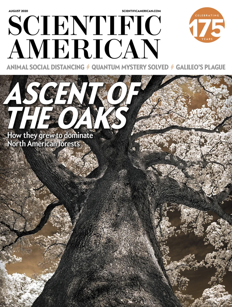 Scientific-American August 01, 2020 Issue Cover