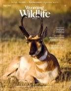 Wyoming-Wildlife August 01, 2016 Issue Cover