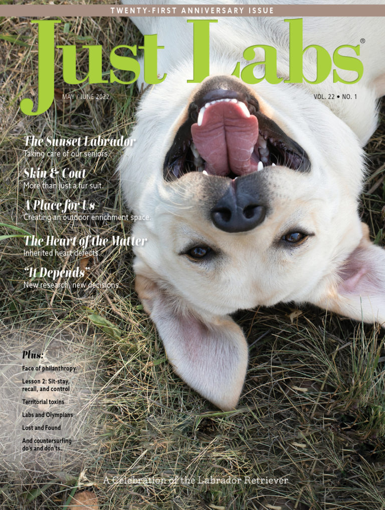Just-Labs May 01, 2022 Issue Cover