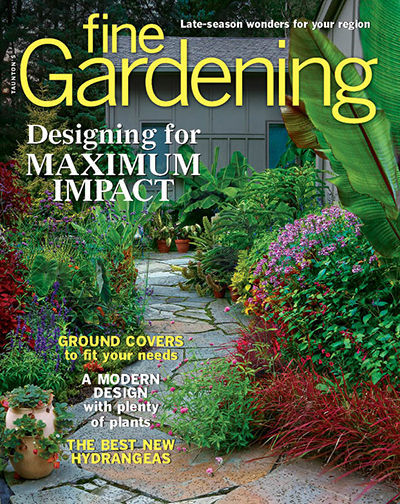 Fine-Gardening October 01, 2019 Issue Cover