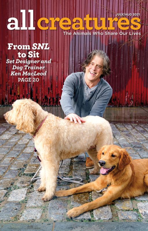 All-Creatures July 01, 2021 Issue Cover