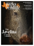 Texas Parks & Wildlife November 01, 2025 Issue Cover