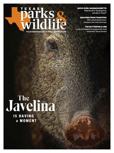 Texas-Parks-and-Wildlife November 01, 2025 Issue Cover