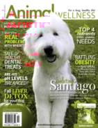 Animal-Wellness October 01, 2015 Issue Cover