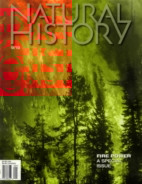Natural-History September 01, 2019 Issue Cover