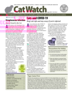 Catwatch August 01, 2020 Issue Cover