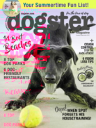 Dogster August 01, 2017 Issue Cover