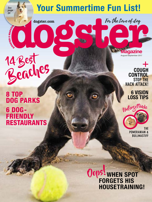 Dogster August 01, 2017 Issue Cover