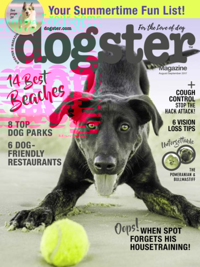 Dogster August 01, 2017 Issue Cover
