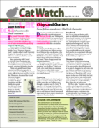 Catwatch August 01, 2019 Issue Cover