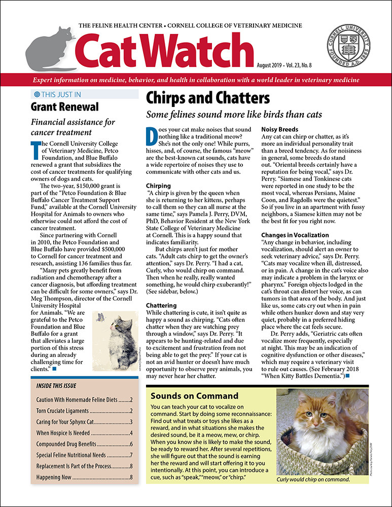 Catwatch August 01, 2019 Issue Cover