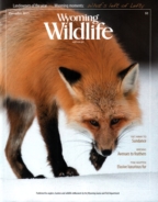 Wyoming-Wildlife December 01, 2015 Issue Cover