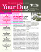 Your-Dog January 01, 2021 Issue Cover