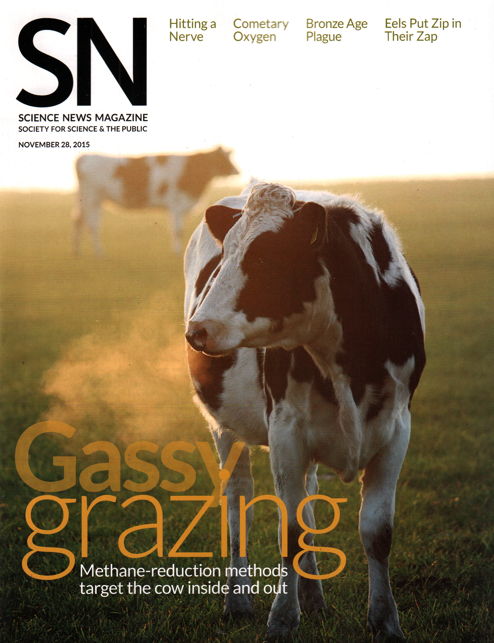 Science-News November 28, 2015 Issue Cover