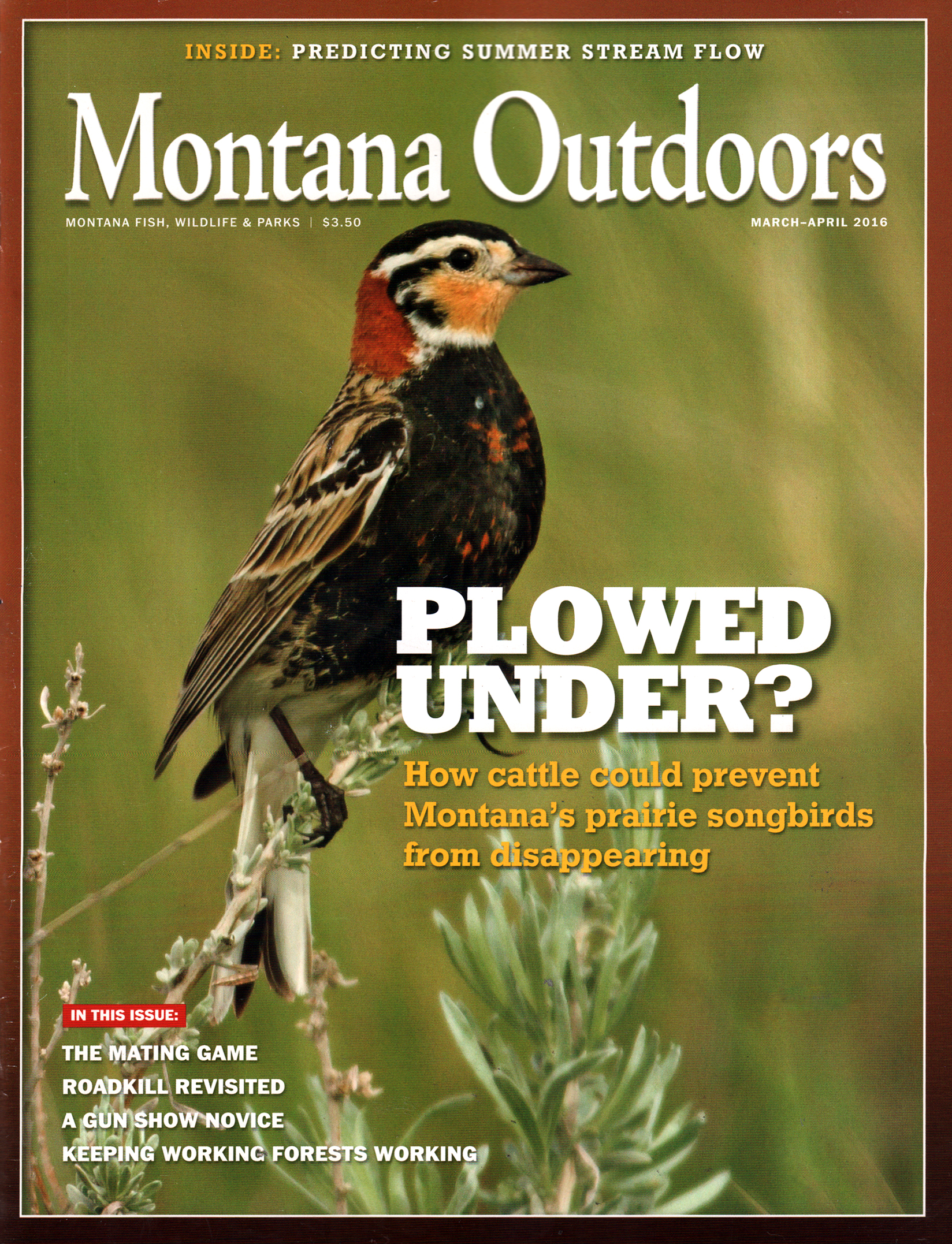 Montana-Outdoors March 01, 2016 Issue Cover