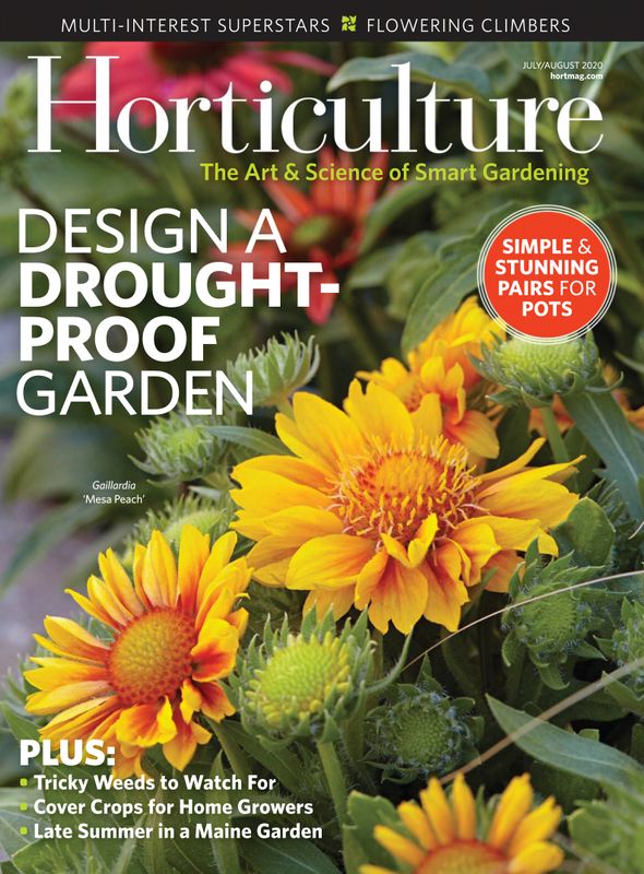 Horticulture July 01, 2020 Issue Cover