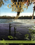 South-Carolina-Wildlife March 01, 2015 Issue Cover