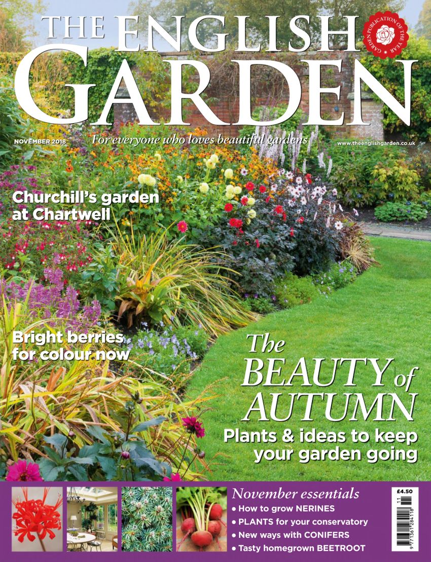 The-English-Garden November 01, 2018 Issue Cover