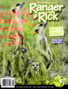 Ranger-Rick August 01, 2022 Issue Cover