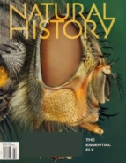 Natural-History February 01, 2018 Issue Cover