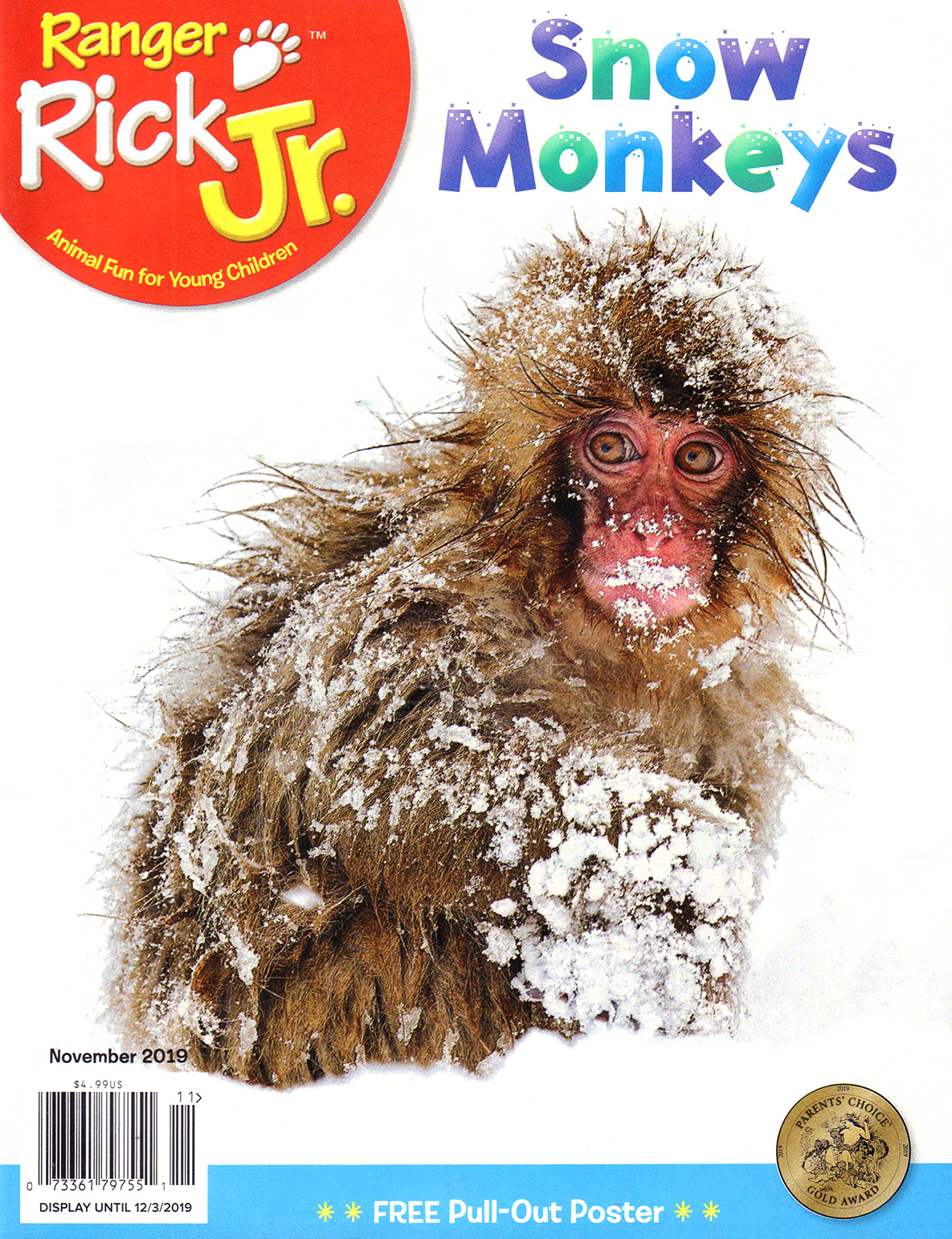 Ranger-Rick-Jr November 01, 2019 Issue Cover