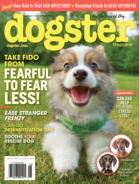 Dogster August 01, 2019 Issue Cover