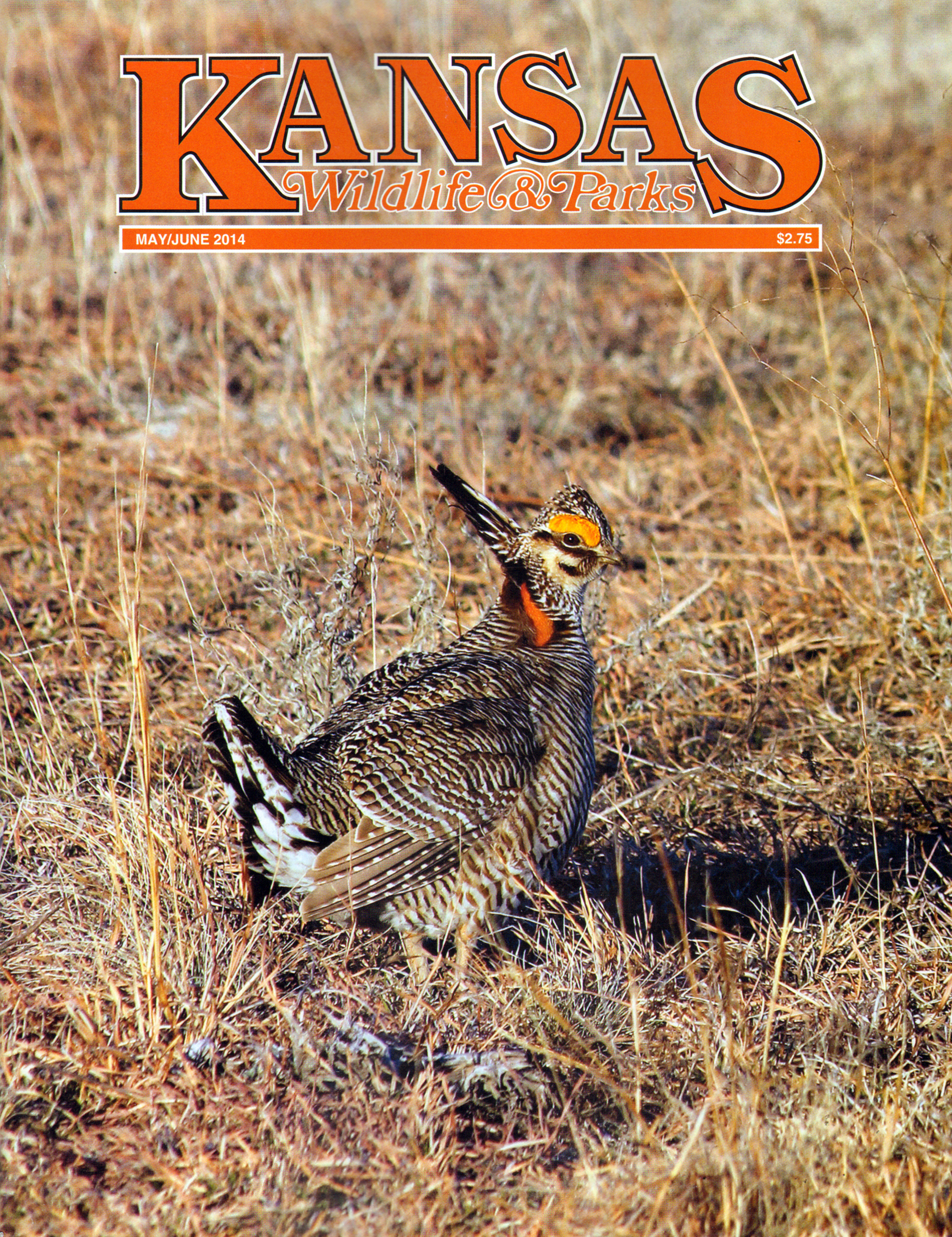 Kansas-Wildlife-and-Parks May 01, 2014 Issue Cover