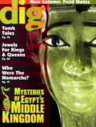 Dig-Magazine January 01, 2014 Issue Cover
