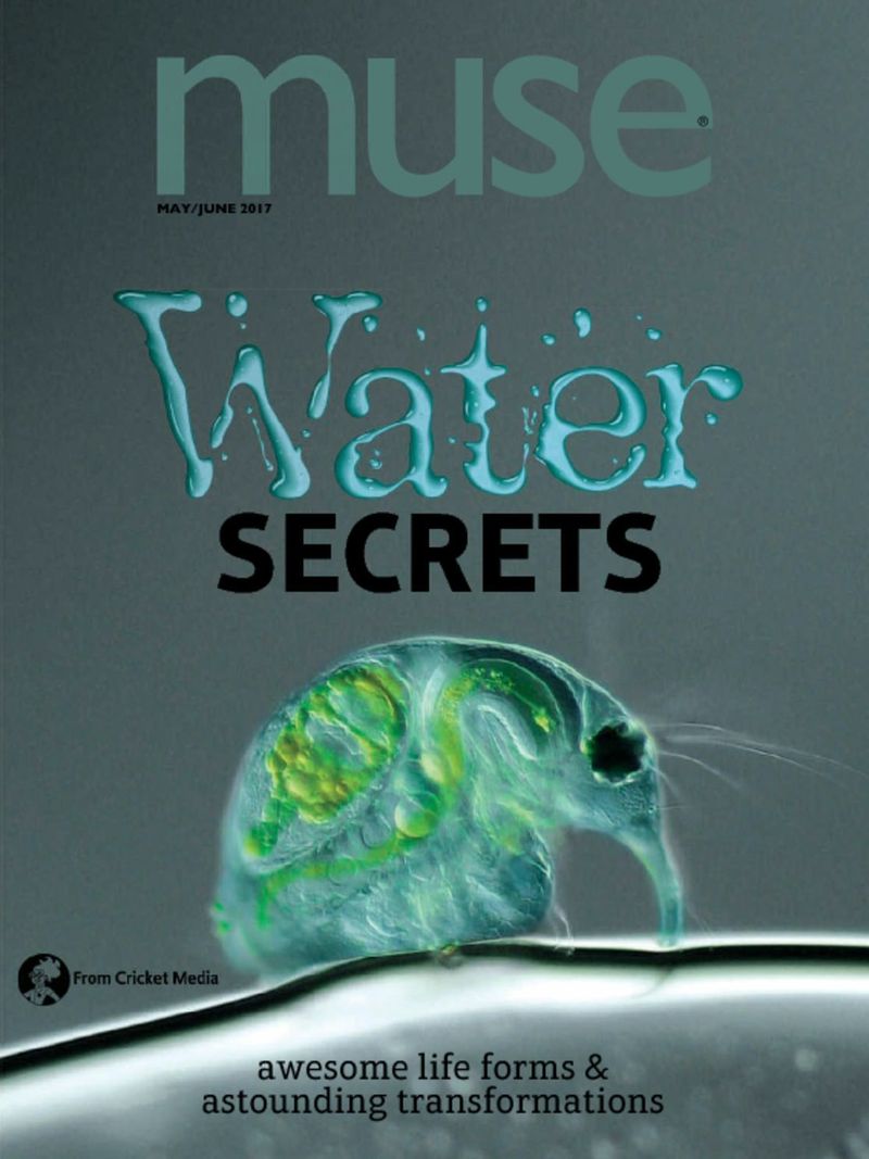 Muse May 01, 2017 Issue Cover