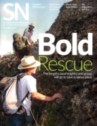 Science-News October 18, 2014 Issue Cover