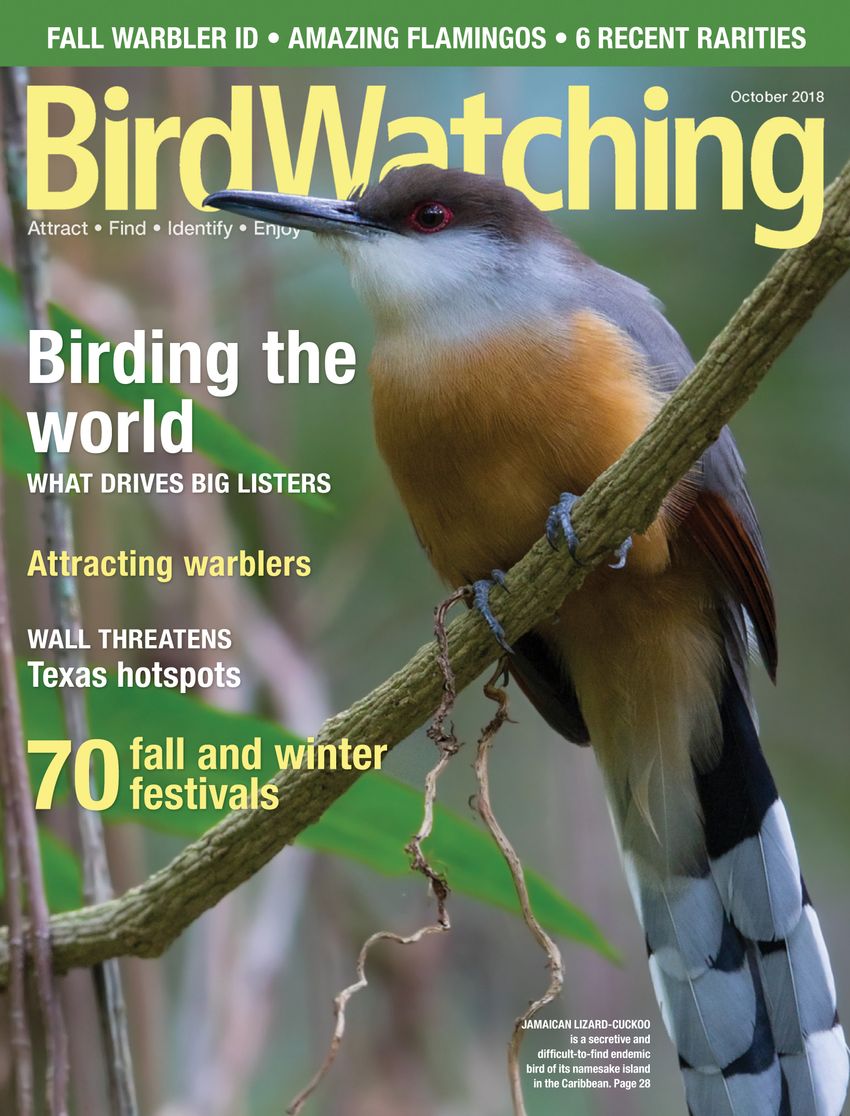 Bird-Watching September 01, 2018 Issue Cover