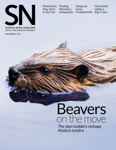 Science News December 08, 2018 Issue Cover