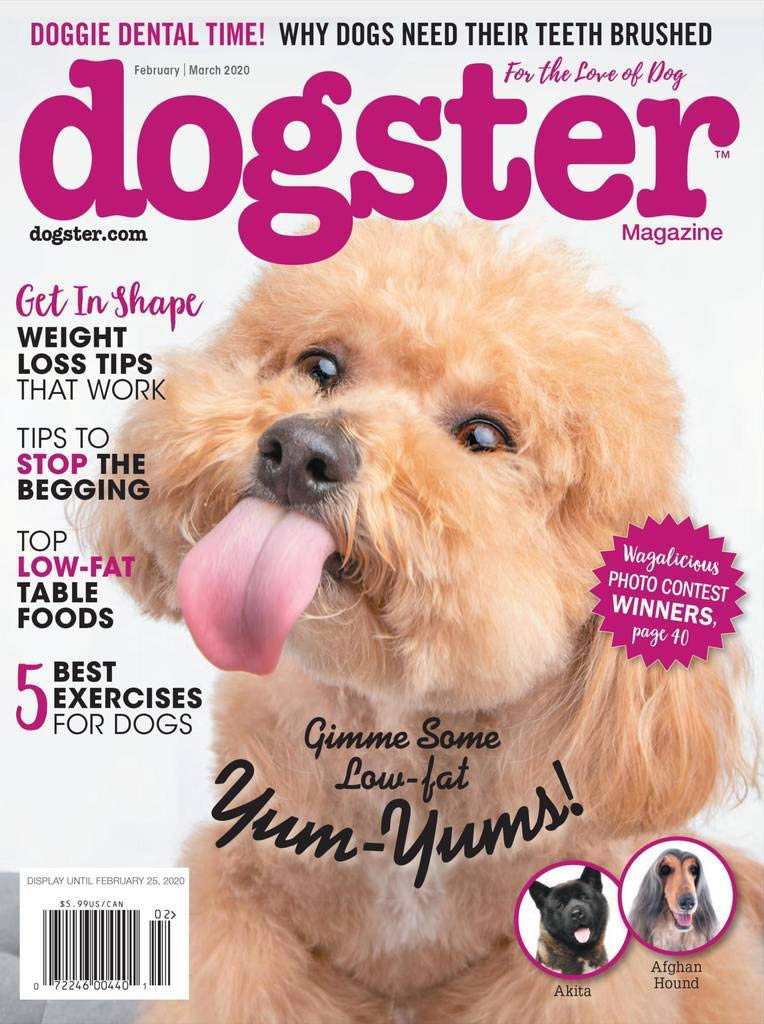 Dogster February 01, 2020 Issue Cover