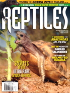 Reptiles November 01, 2018 Issue Cover