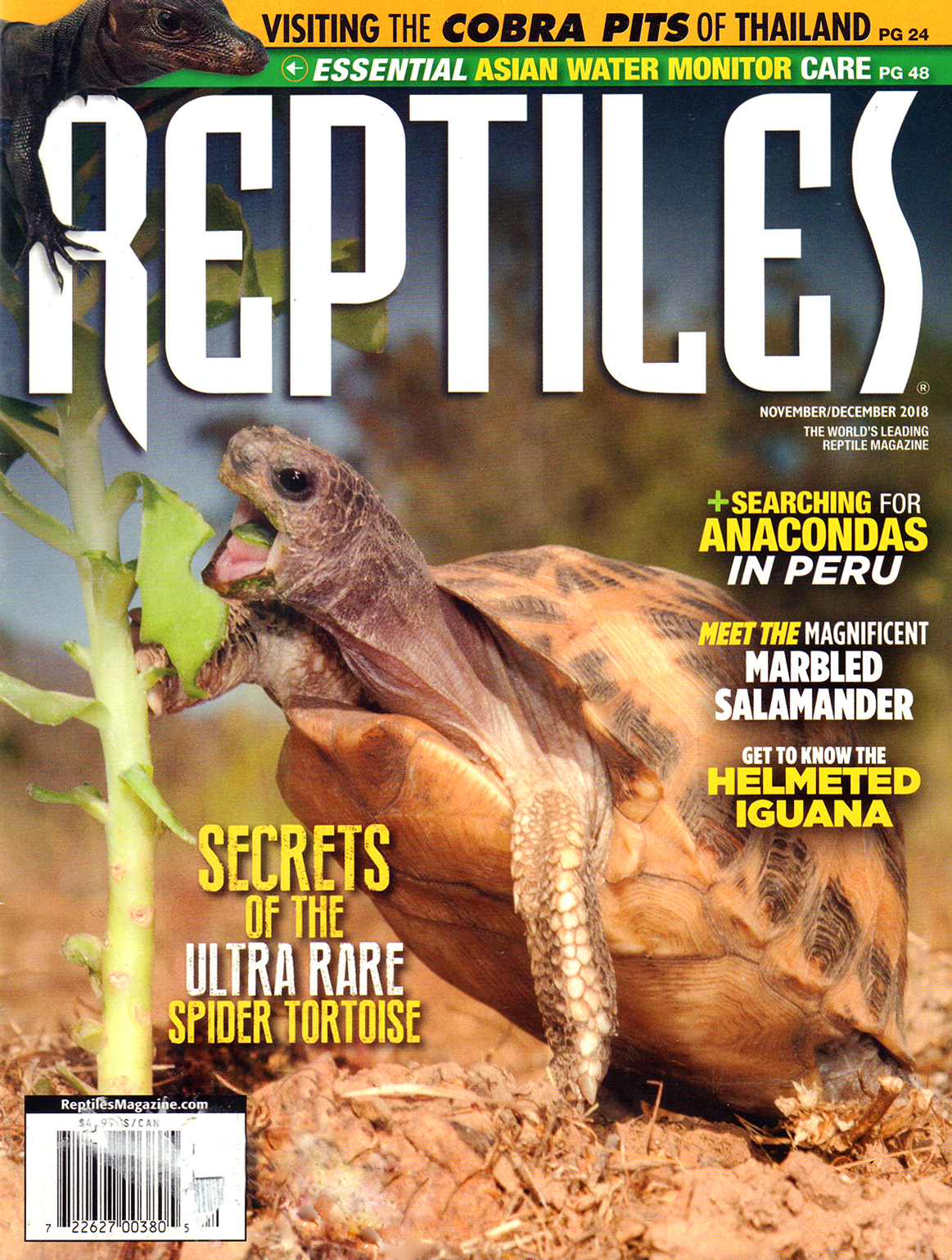 Reptiles November 01, 2018 Issue Cover