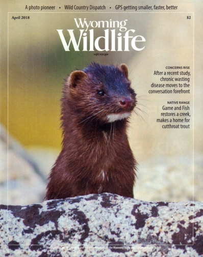Wyoming Wildlife April 01, 2018 Issue Cover