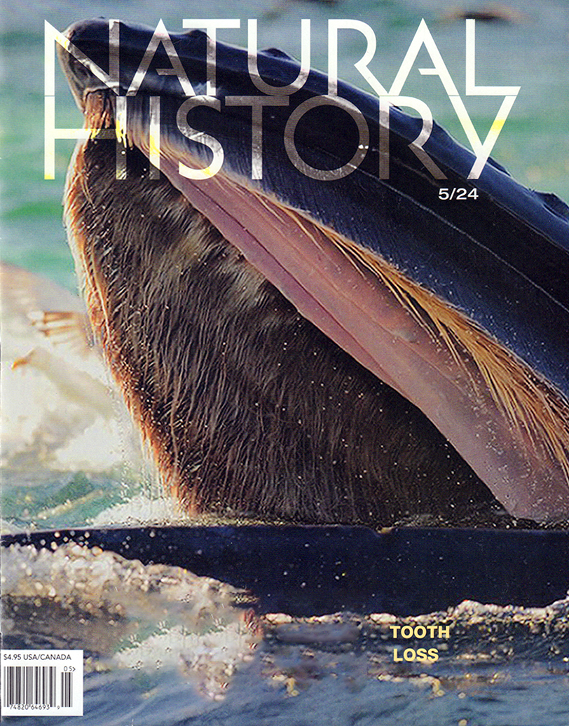 Natural-History May 01, 2024 Issue Cover