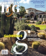 Phoenix-Home-and-Garden November 01, 2020 Issue Cover