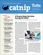 Catnip February 01, 2022 Issue Cover