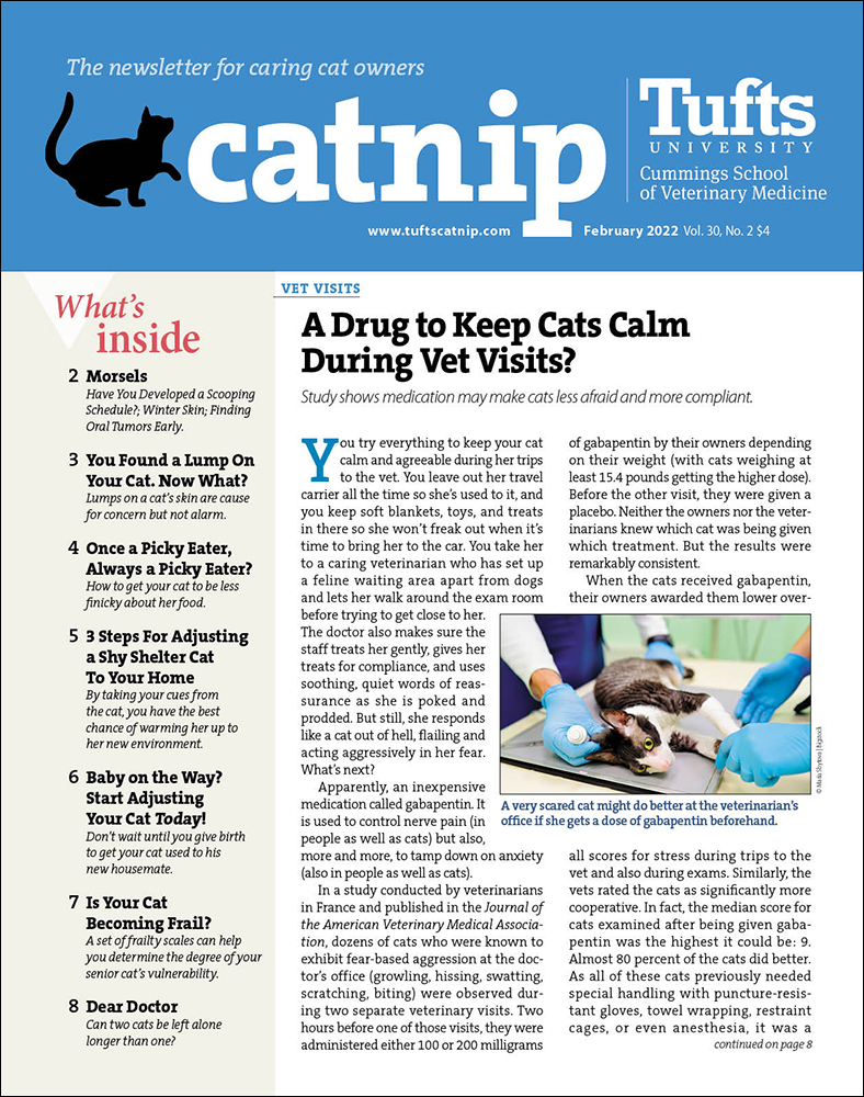 Catnip February 01, 2022 Issue Cover