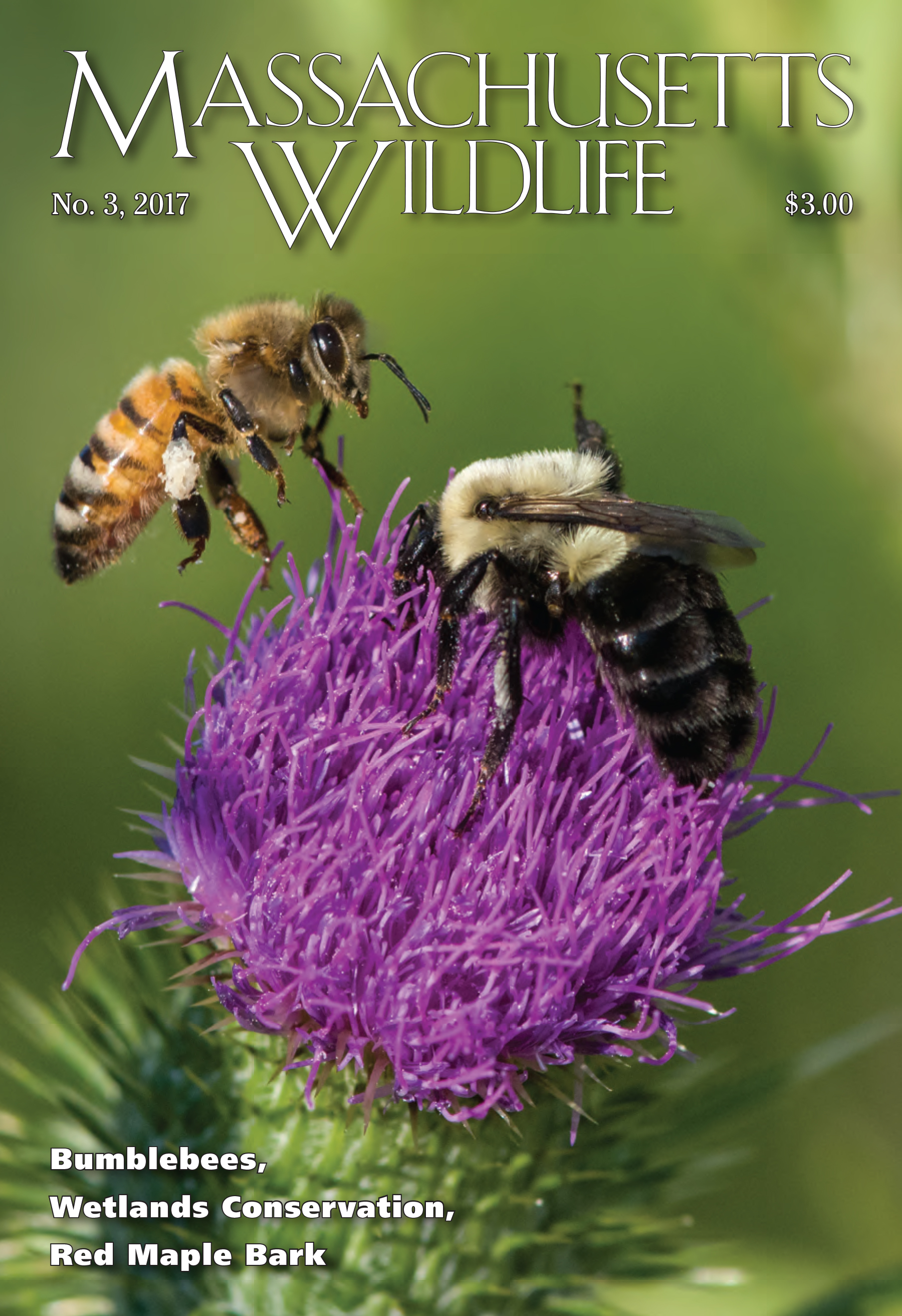 Massachusetts-Wildlife September 01, 2017 Issue Cover