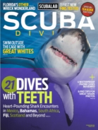 Scuba-Diving August 01, 2013 Issue Cover