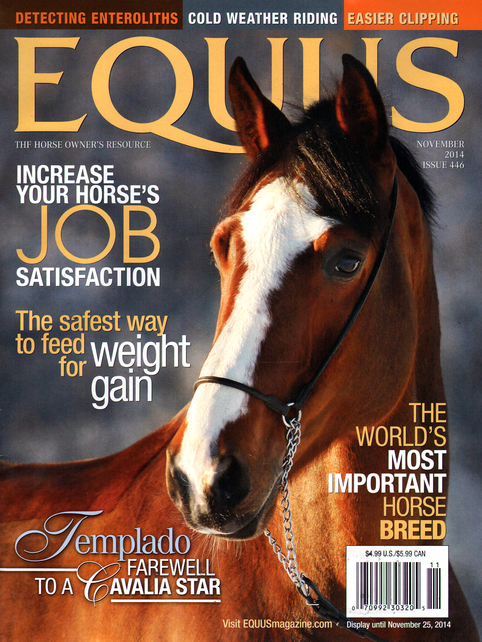 Equus November 01, 2014 Issue Cover