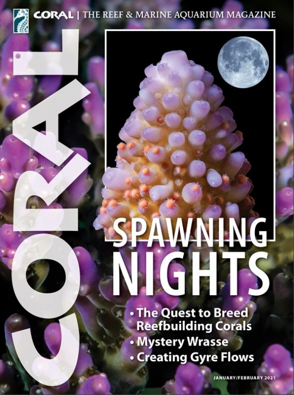 Coral January 01, 2021 Issue Cover