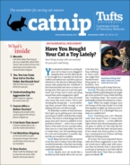 Catnip September 01, 2020 Issue Cover