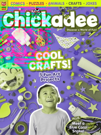 chickaDEE March 01, 2026 Issue Cover